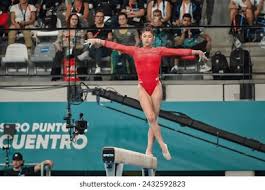 也重视团队 也重视团队