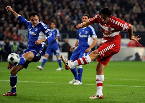 很好地填补 很好地填补